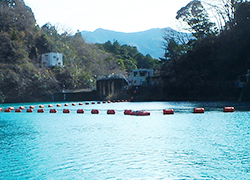 静岡県　境川ダム