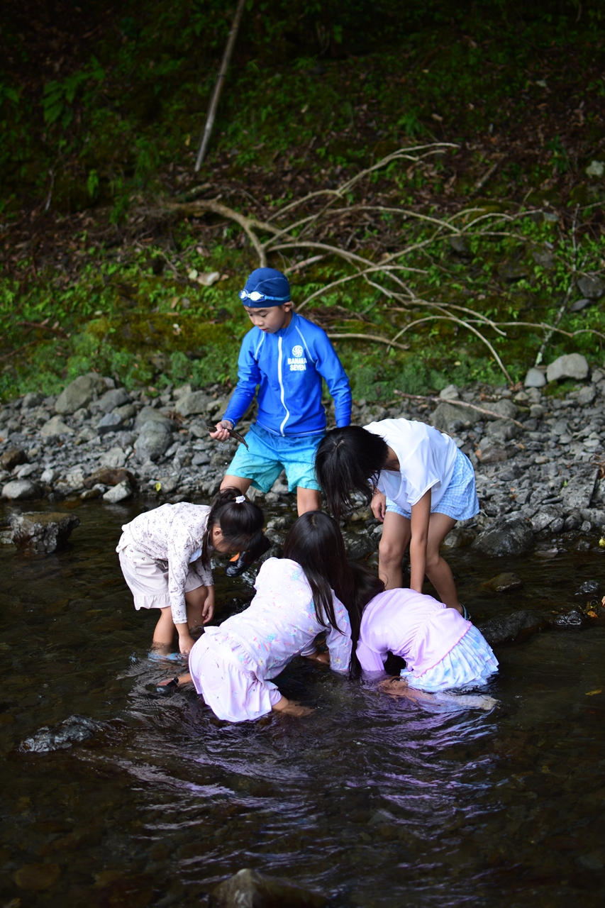 s-DSC_0093